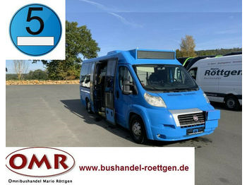 Minibus, Personenvervoer Fiat Ducato Maxi 40/Sprinter City/Midi/EEV: afbeelding 1