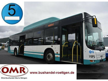 Stadsbus MAN A 21 CNG / O 530 / Citaro: afbeelding 1