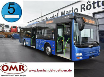 Stadsbus MAN A 21 Lion´s City / O 530 / A 20 / 3 türig /Klima: afbeelding 1