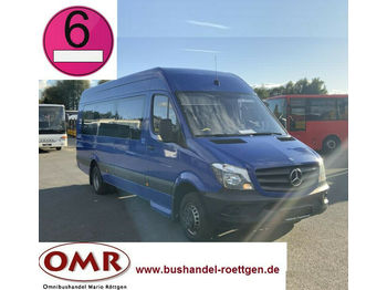 Minibus, Personenvervoer Mercedes-Benz 516 CDI Sprinter / 20 Sitzer / Euro 6: afbeelding 1