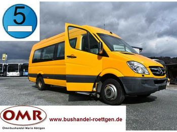Minibus, Personenvervoer Mercedes-Benz 516 CDI / Sprinter / 519 / 20 Sitze: afbeelding 1