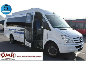 Minibus, Personenvervoer Mercedes-Benz 516 CDI/Sprinter/Transfer/Crafter/20 Sitzer: afbeelding 1