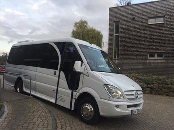 Minibus Mercedes Benz Sprinter 519CDI