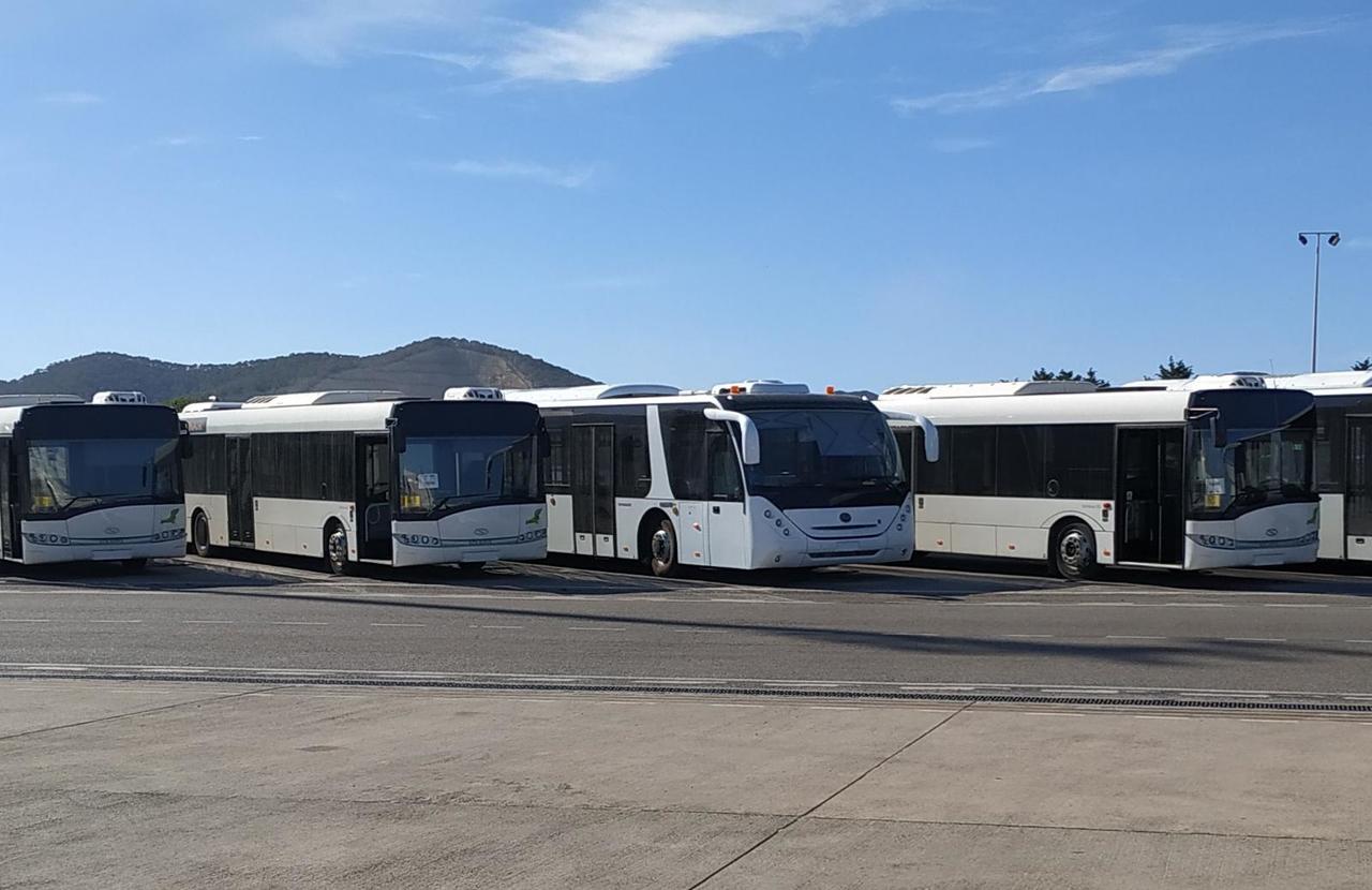 Luchthaven bus Solaris Urbino 15: afbeelding 2