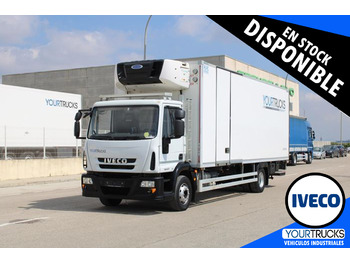 Koelwagen vrachtwagen IVECO EuroCargo 160E