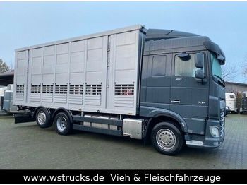 Veewagen vrachtwagen DAF XF 480 "Neu"  Menke 3 Stock Hubdach: afbeelding 1
