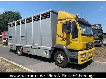 Veewagen vrachtwagen MAN 15.220 Menke Einstock: afbeelding 1