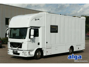 Veewagen vrachtwagen MAN 7.150 BL TGL, Pferdetransporter,Verkaufsfahrzeug: afbeelding 1