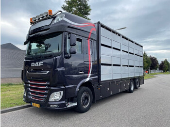 DAF XF 460 2017 berdex 3 lagen varkens - Veewagen vrachtwagen: afbeelding 1