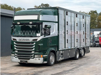 Scania R500 V8 6x2 Euro 5 3.Stock Menke Hubdach,Tränke  - Veewagen vrachtwagen: afbeelding 1