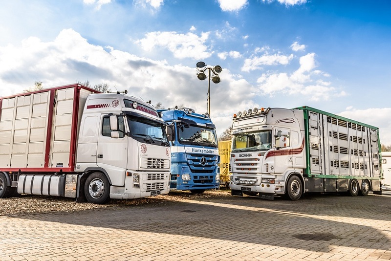 WS Trucks GmbH - Aanhangwagens undefined: afbeelding 1