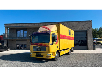 Paardenvrachtwagen MAN TGL 10.180