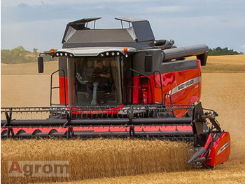 Maaidorser MASSEY FERGUSON