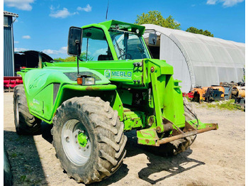 Verreiker MERLO