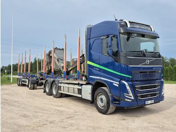 Houttransport VOLVO FH 500