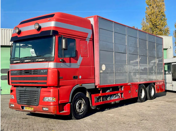 Veewagen vrachtwagen DAF XF 95 430