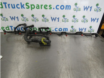 Elektrisch systeem voor Vrachtwagen DAF XF 105 PACCAR INJECTOR/ECU HARNESS P/NO 1696501/00: afbeelding 4