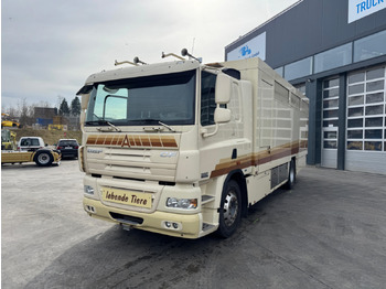 Veewagen vrachtwagen DAF CF 410