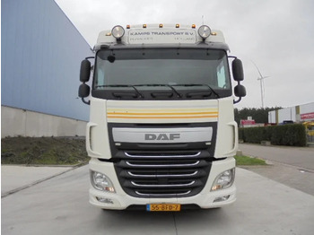 Trekker DAF XF 460: afbeelding 2