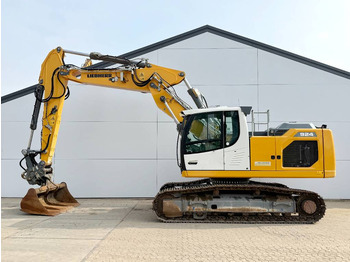 Rupsgraafmachine LIEBHERR R 924