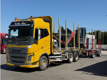 Houttransport VOLVO FH16 750