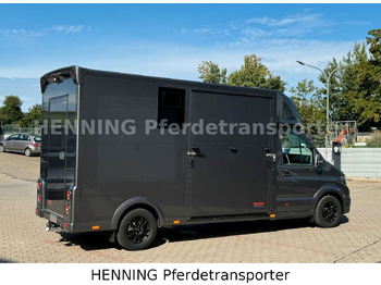 Veewagen vrachtwagen MAN TGE 3 - Sitzer *KLIMA PFERDEABTEIL*: afbeelding 5