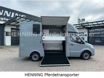 Nieuw Paardenvrachtwagen Mercedes-Benz Sprinter 3 - Sitzer *NEUFAHRZEUG*: afbeelding 5