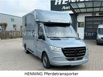 Nieuw Paardenvrachtwagen Mercedes-Benz Sprinter 3 - Sitzer *NEUFAHRZEUG*: afbeelding 2