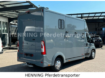 Paardenvrachtwagen Peugeot Boxer 3-Sitzer *NEUWAGEN* 1000 KG NUTZLAST: afbeelding 3