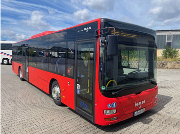 Stadsbus MAN Lion's City A20