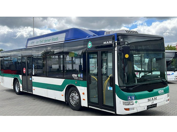 Stadsbus MAN Lion's City A21