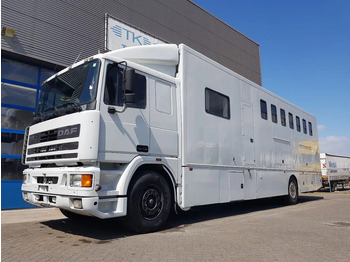 Paardenvrachtwagen DAF 95 350