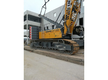 Rupskraan Liebherr LR 1160: afbeelding 3