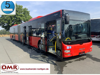 Gelede bus MAN Lion's City A23