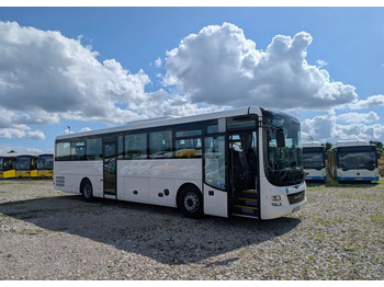 Leasing  MAN Lion's Intercity MAN Lion's Intercity: afbeelding 2