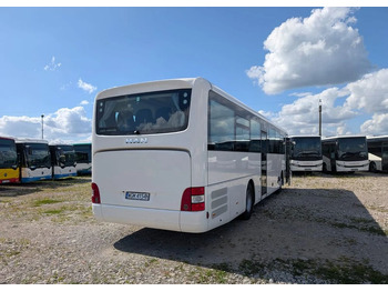 Leasing  MAN Lion's Intercity MAN Lion's Intercity: afbeelding 5