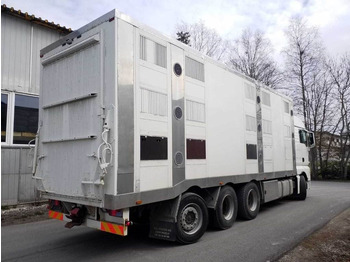 Veewagen vrachtwagen MAN TGX 35.540 8X4 TRIDEM ANIMAL: afbeelding 3