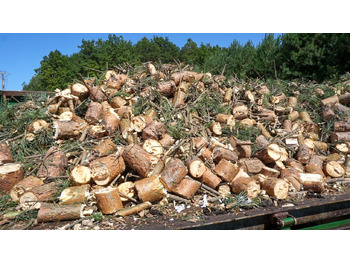 Houtversnipperaar REMET RĘBAK WOM MODEL R-120 + TAŚMOCIĄG 2,3M: afbeelding 3