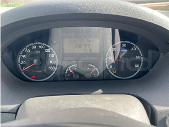 Schoolbus Fiat Ducato: afbeelding 3