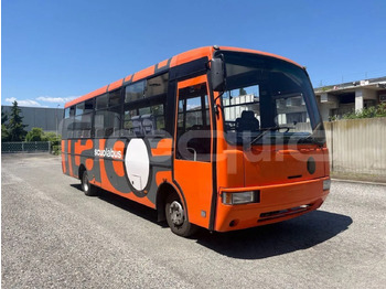 Schoolbus IVECO