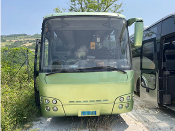 Stadsbus Temsa Safari: afbeelding 2