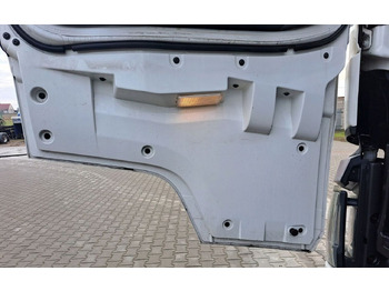 Deur en onderdelen RENAULT T