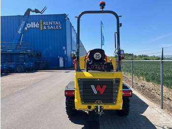 Nieuw Kiepwagen met knikbesturing WACKER NEUSON DW40 | NEW 2025: afbeelding 4