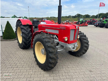 Tractor Schlüter Schlüter V 1250: afbeelding 4