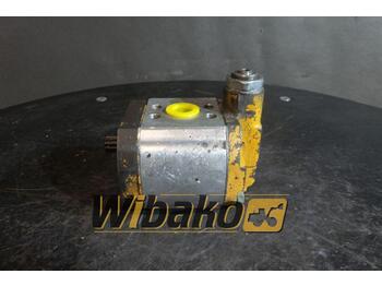 Hydraulische pomp REXROTH