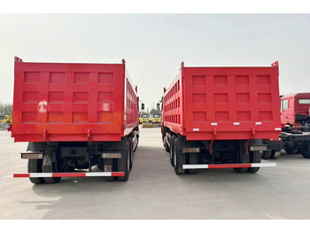 Nieuw Kipper vrachtwagen voor het vervoer van bulkgoederen SHACMAN Shacman Truck for sale in Tanzania: afbeelding 5