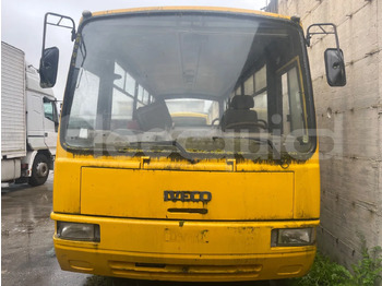 Schoolbus IVECO
