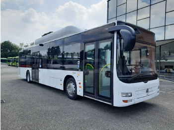 Stadsbus MAN Lion's City A21