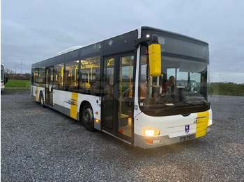 Stadsbus MAN Lion's City