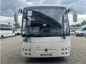 Streekbus TEMSA
